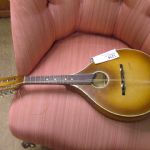 348 1216 Mandolin